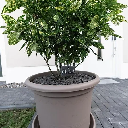 بيت للعطل Ostseehaus Am Naturstrand - Ostseeblick *