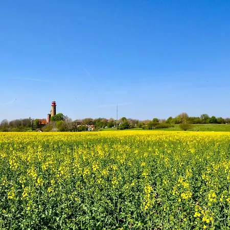 Ostseehaus Am Naturstrand - Ostseeblick