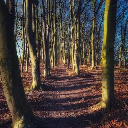 Ostseehaus Am Naturstrand - Ostseeblick Varnkevitz