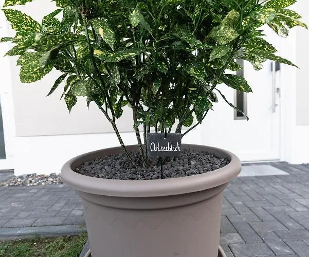 Feriehus Ostseehaus Am Naturstrand - Ostseeblick *