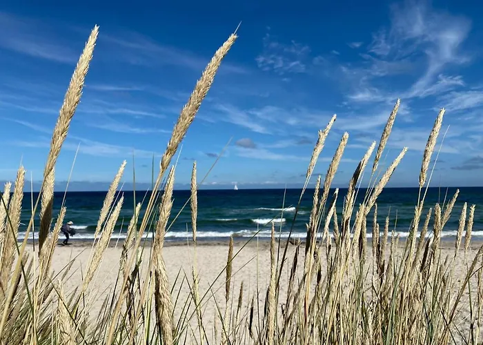 Ostseehaus Am Naturstrand - Ostseeblick Feriehus