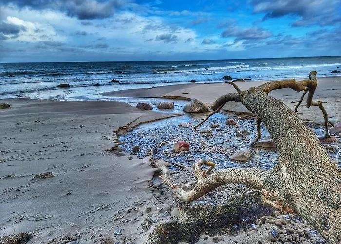 Ostseehaus Am Naturstrand - Ostseeblick *