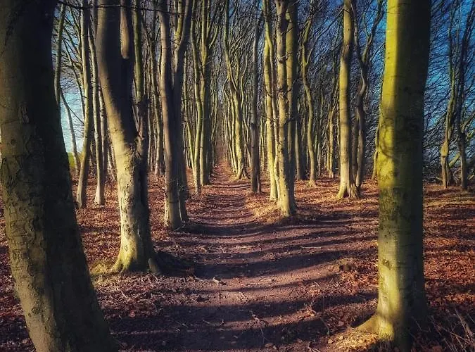 Ostseehaus Am Naturstrand - Ostseeblick Varnkevitz